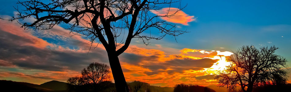 云呼手机号测压网页版