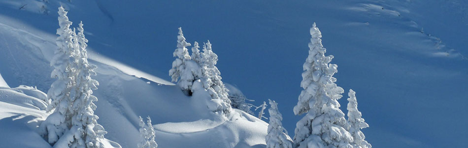 在线轰炸机免费版